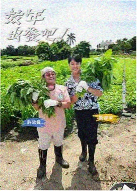 深夜场清单综艺首播海报